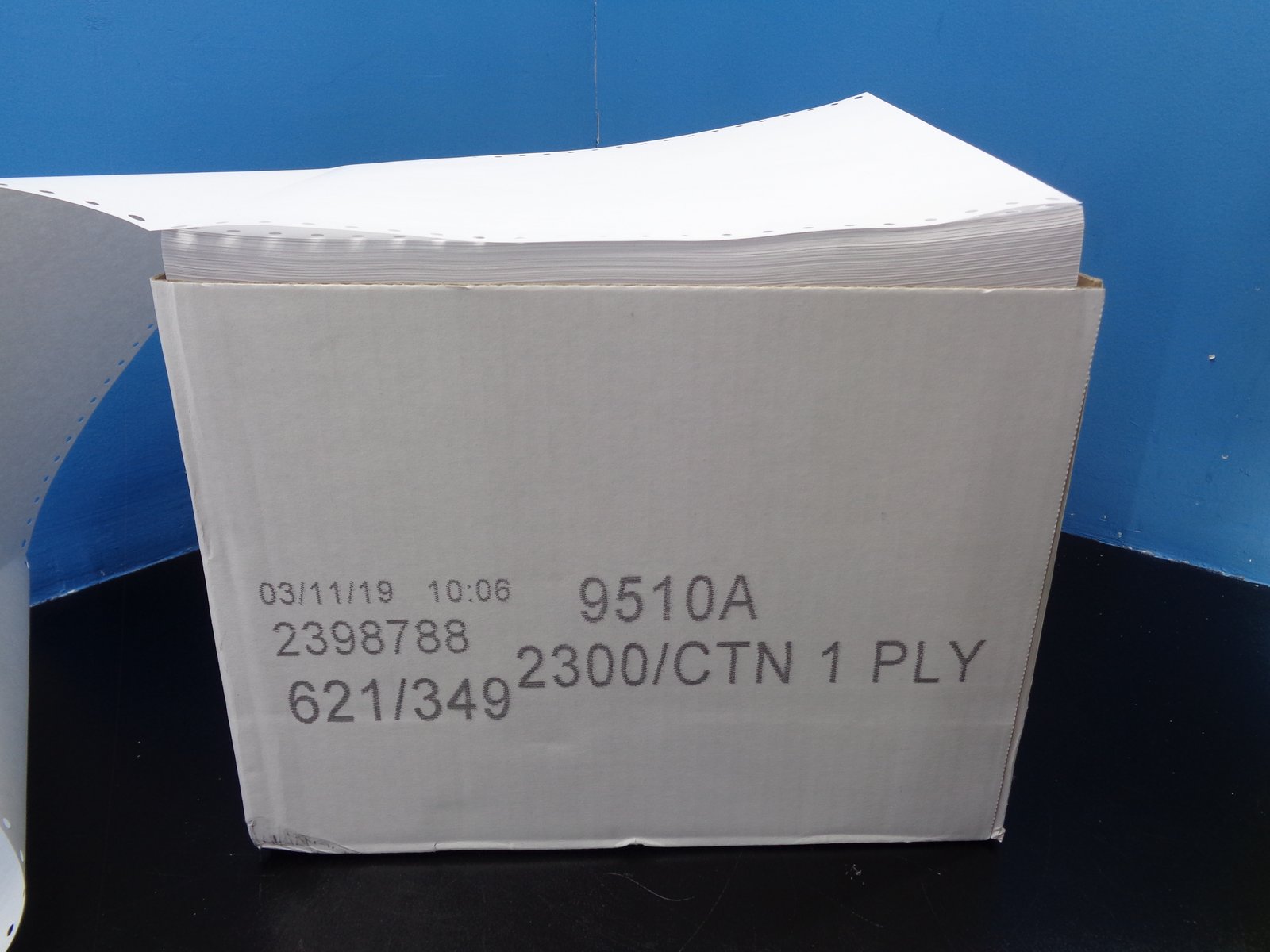 Feed essay questions picture